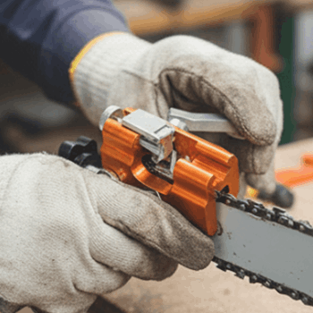 SawShark users ~Michael R.